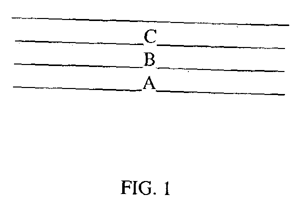Method for hydrophilizing materials using hydrophilic polymeric materials with discrete charges