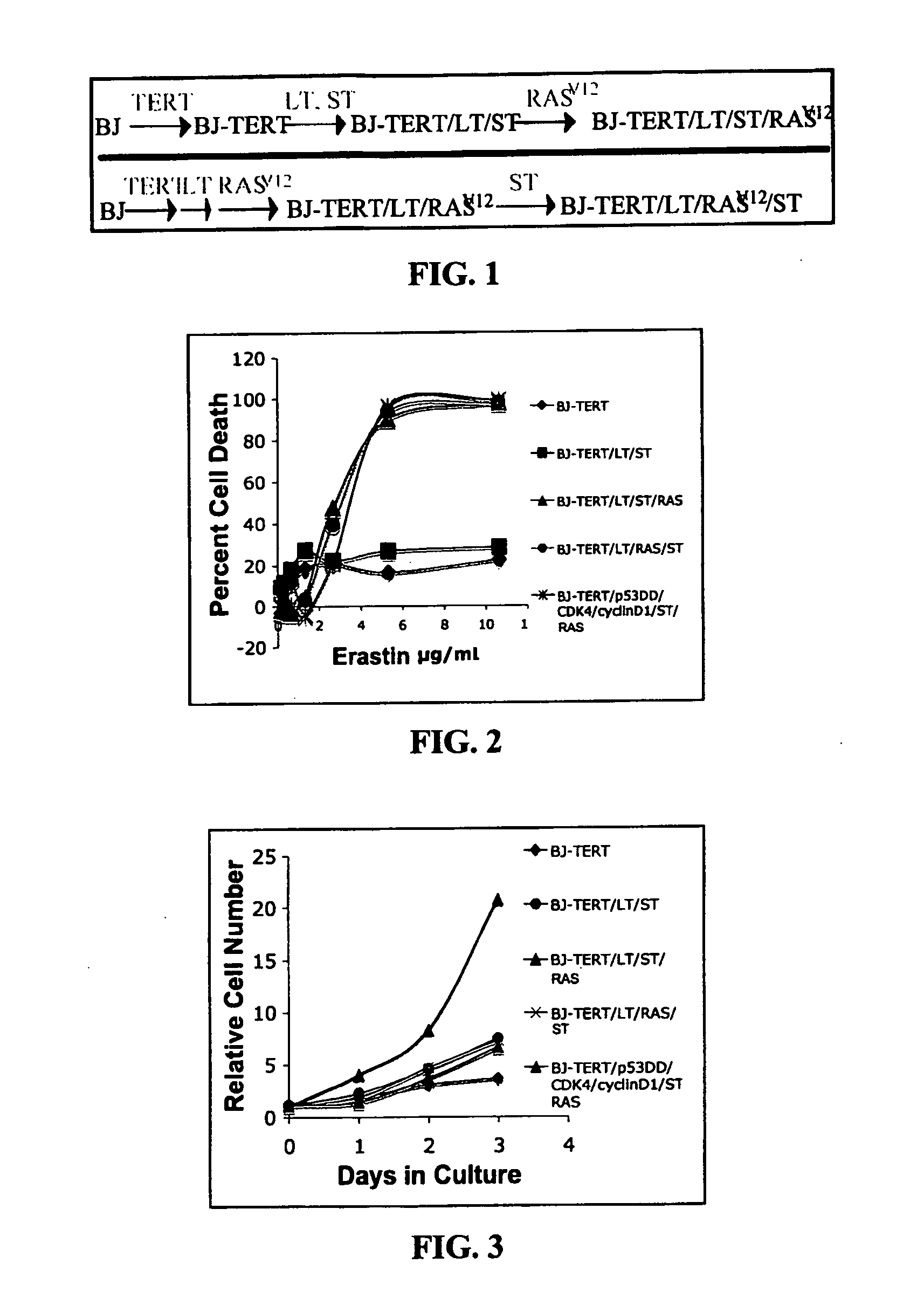 Assays for non-apoptotic cell death and uses thereof