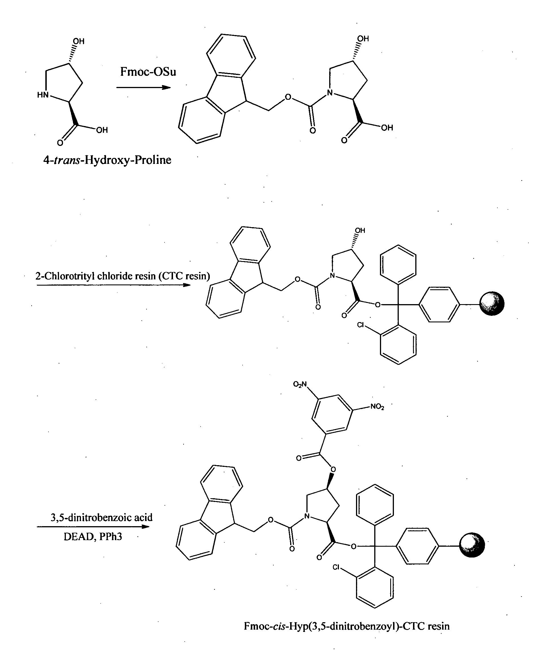 Preparation of phalloidin and its derivatives