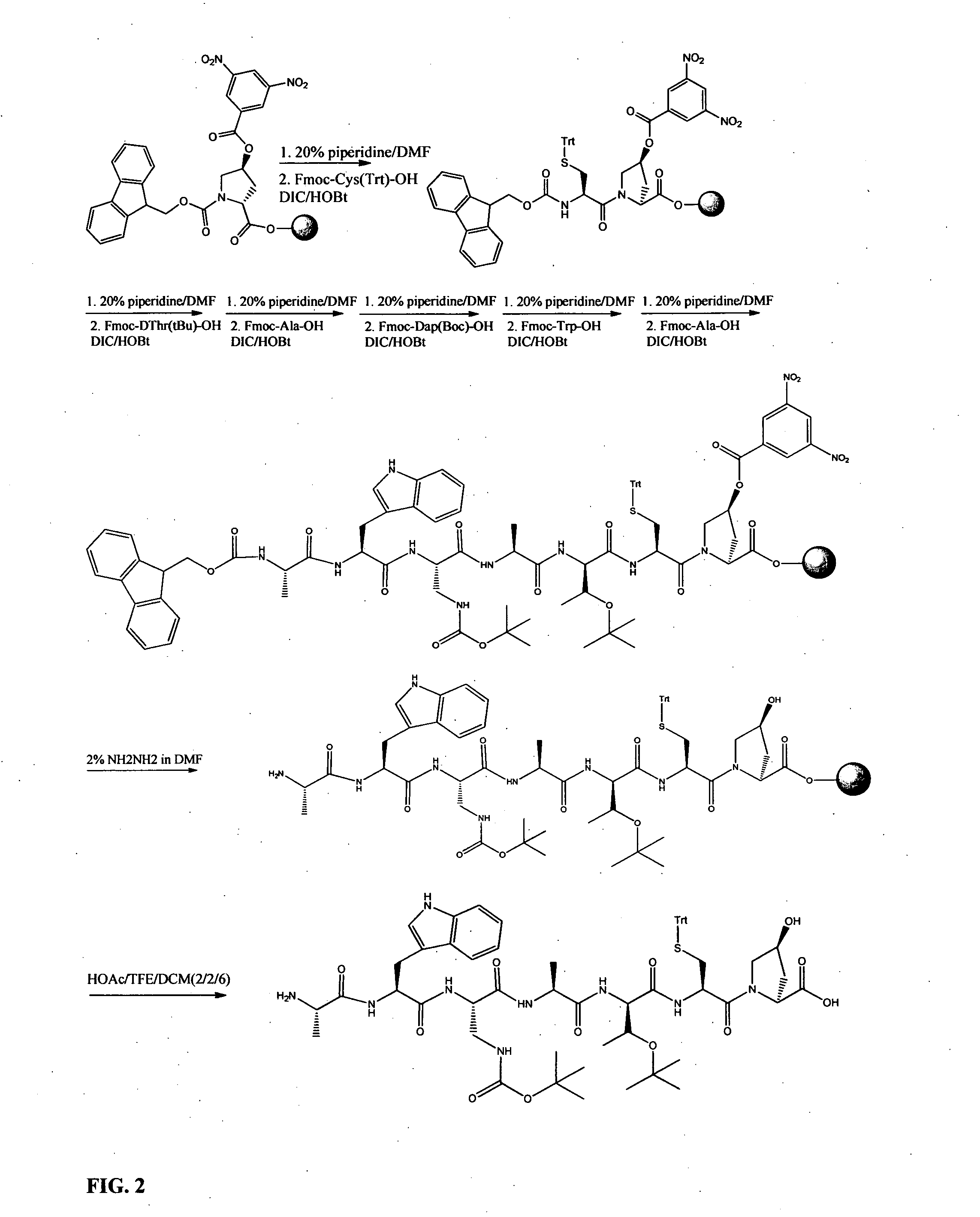 Preparation of phalloidin and its derivatives