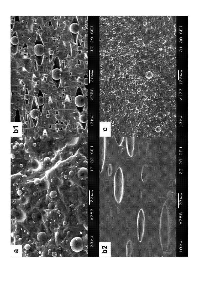 Elastic shape memory material with repeated self-repairing function and preparation method thereof
