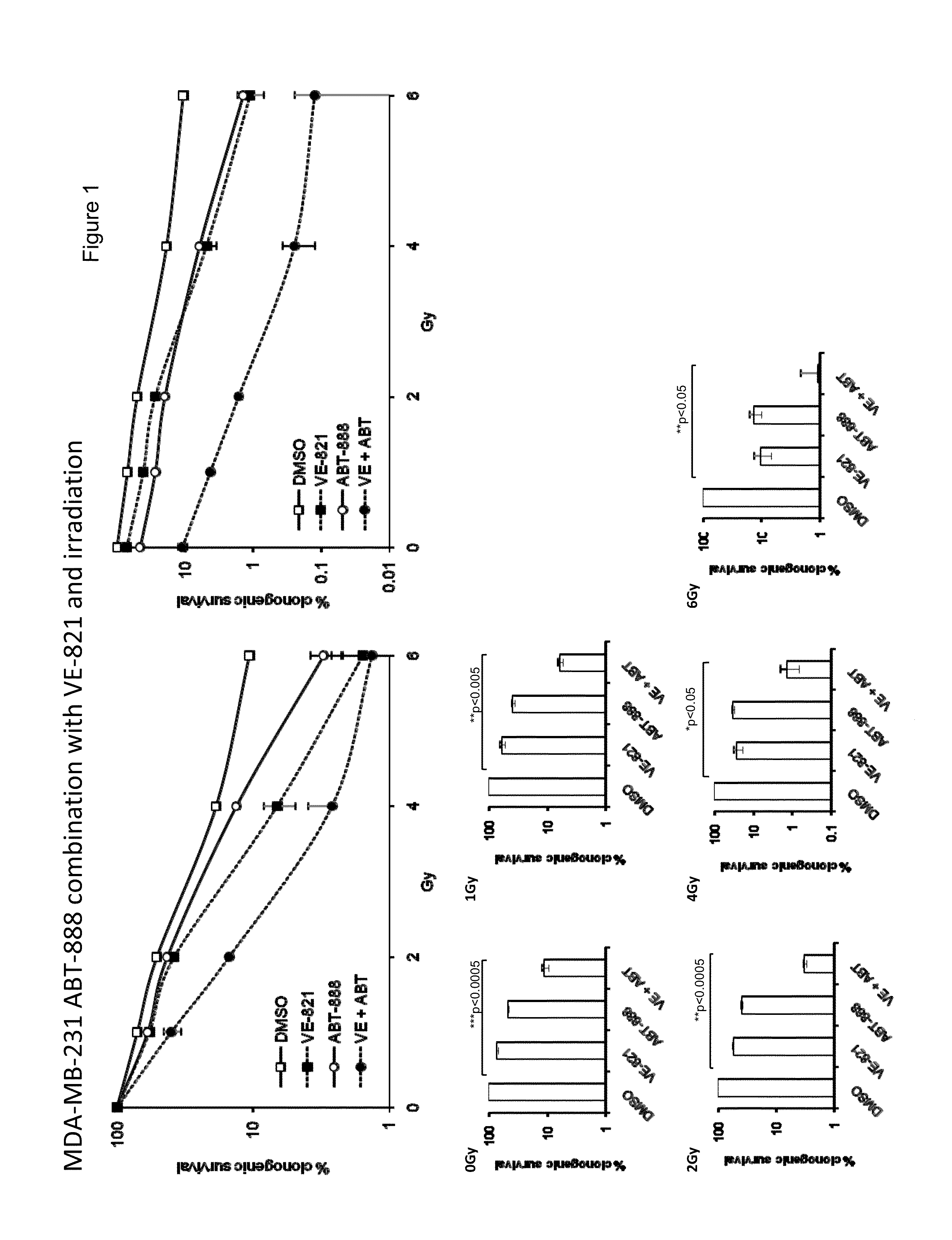 Compounds useful as inhibitors of atr kinase
and combination therapies thereof