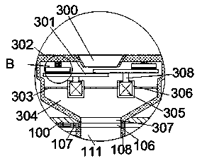 Method for blackening pistacia weinmannifolia