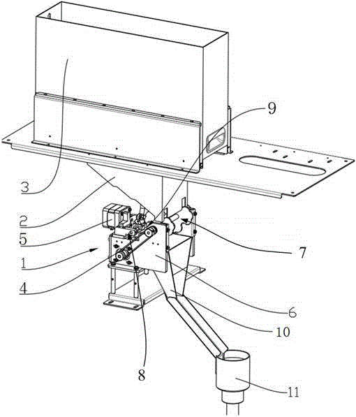Feeding device and method for container