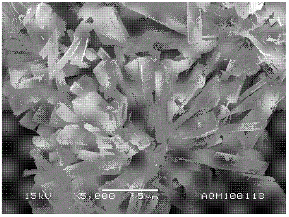 Preparation method of beta type ammonium tetramolybdate