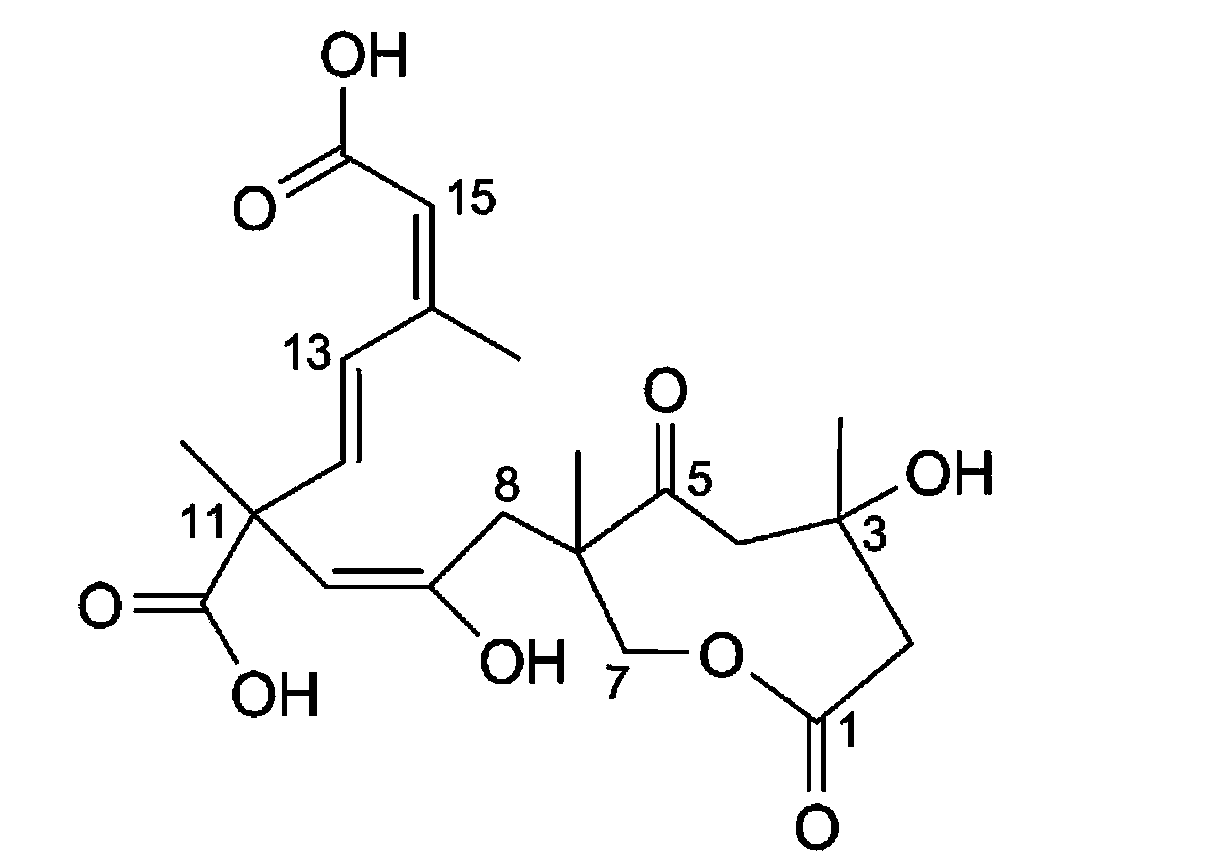 Application of Sarcaboside A to medicament for treatment of rheumatoid osteoarthritis