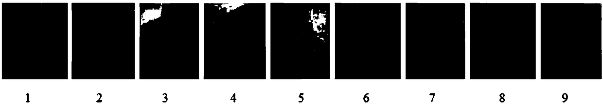 Compound plant extracting solution as well as preparation method and application thereof