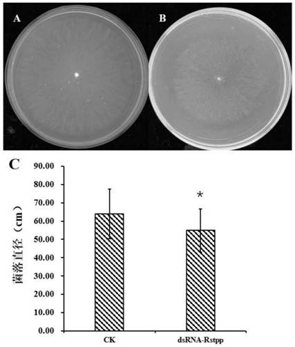 A pathogenicity-related gene of rice sheath blight and its application