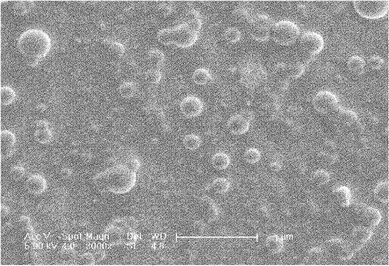 Daidzein-entrapped PLGA nanoparticles and preparation method thereof