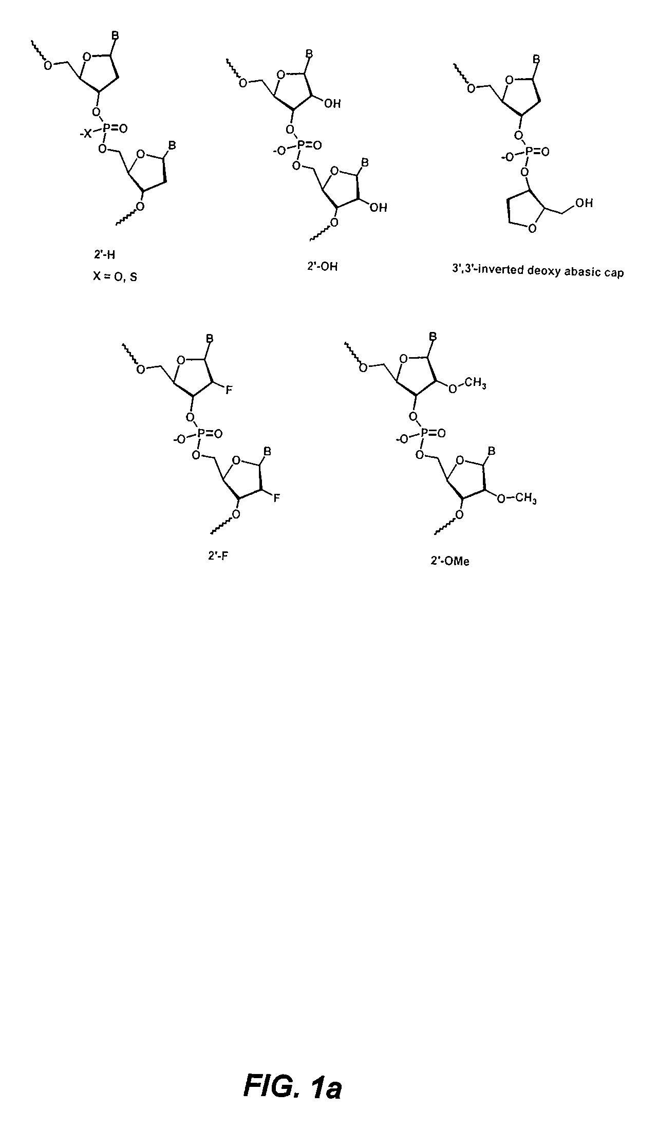Modified siRNA molecules and uses thereof