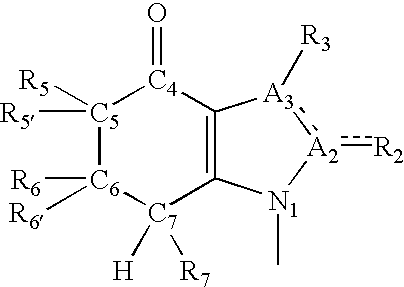 Synthesis and methods of use of tetrahydroindolone analogues and derivatives