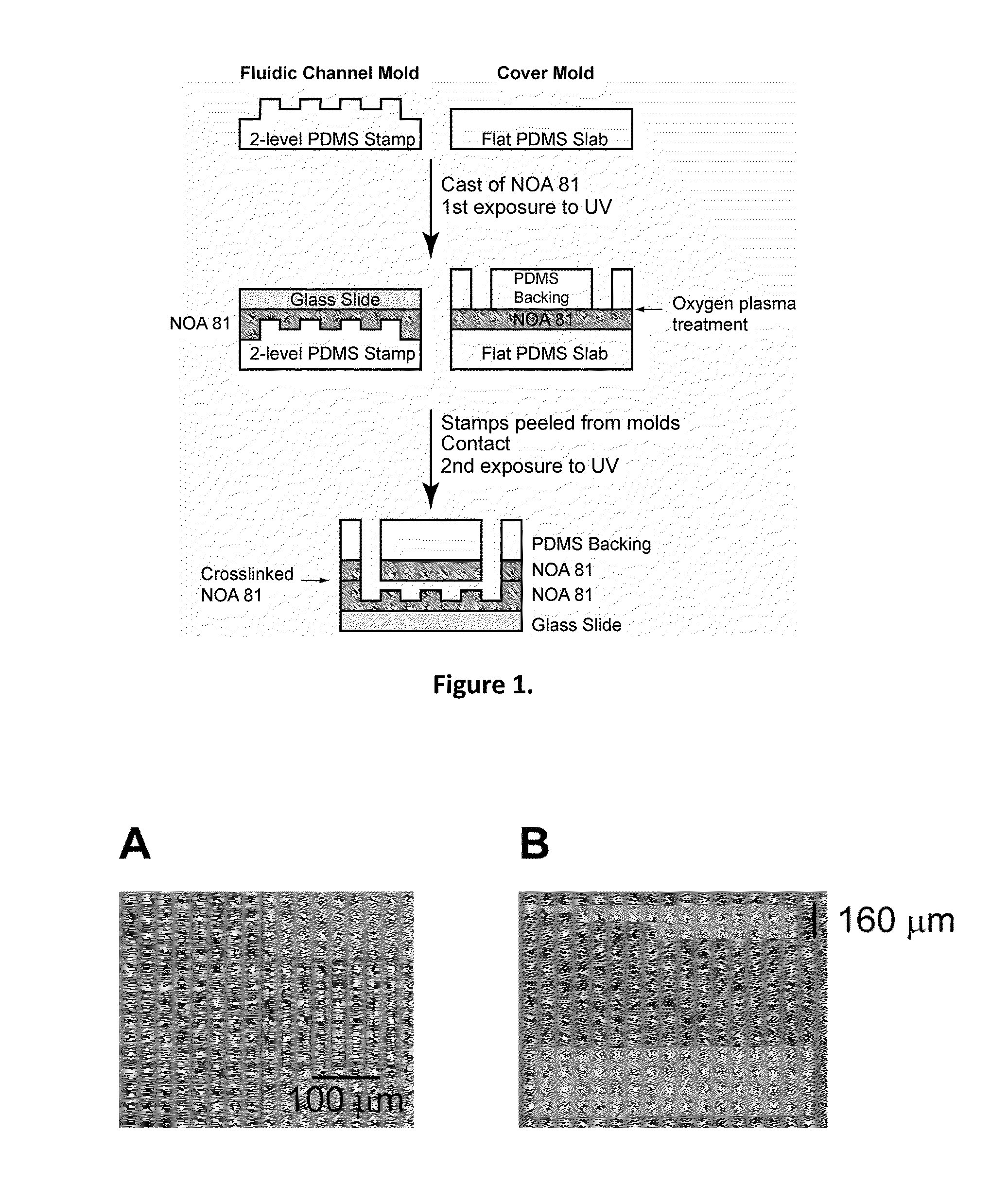 Continuous-flow deformability-based cell separation
