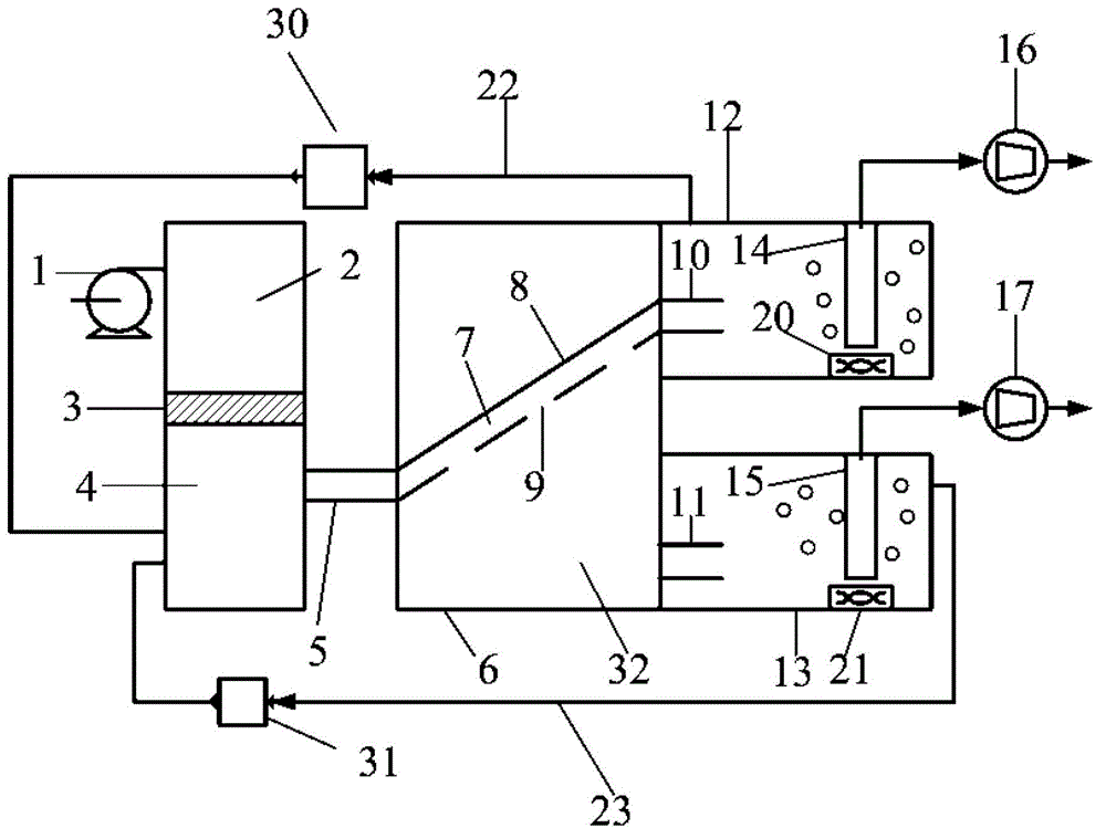 Food waste separating apparatus