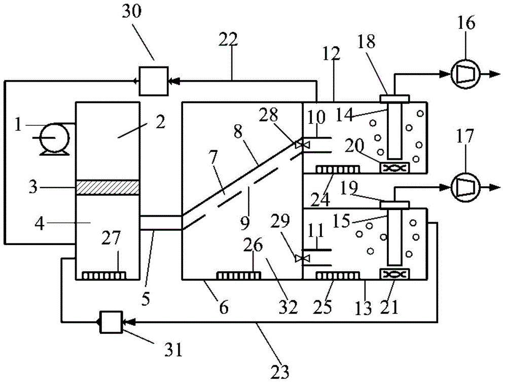 Food waste separating apparatus