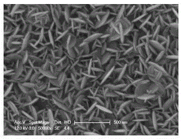 Quantum dot sensitized solar cell capable of entering light from both sides and preparation method thereof