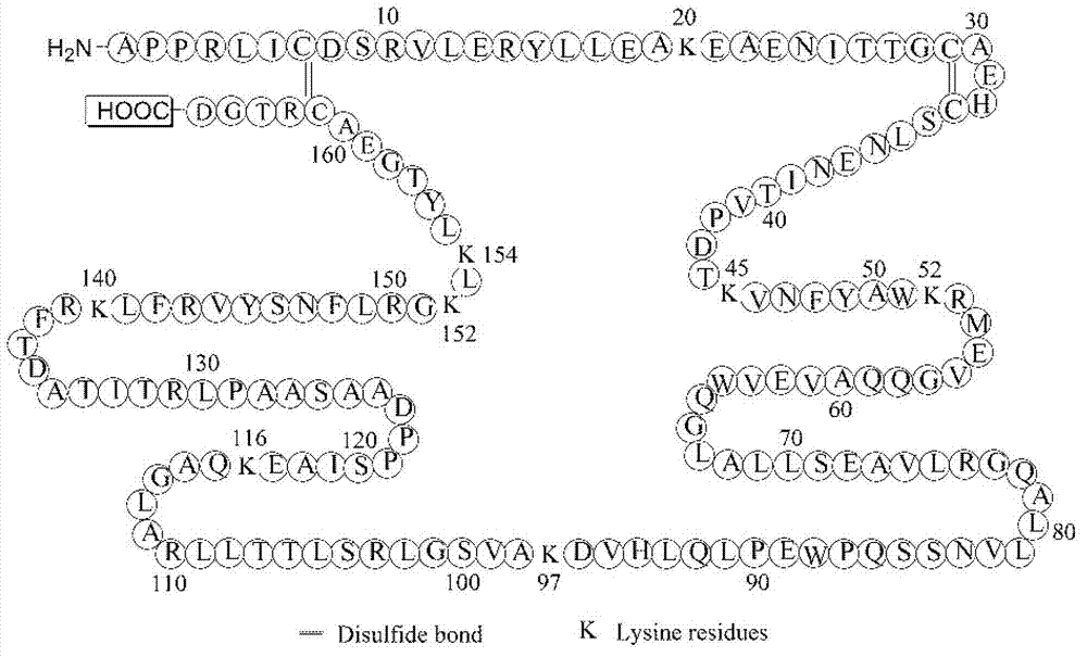 Continuous pegylation reaction method for recombinant human erythropoietin (EPO)