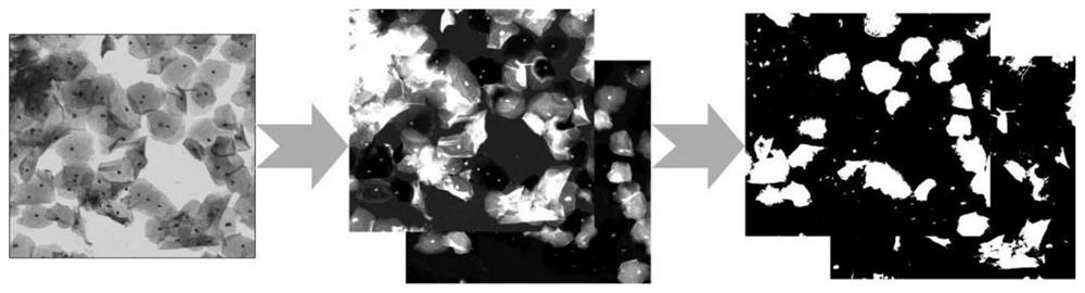 Cellular pathology image quality evaluation method