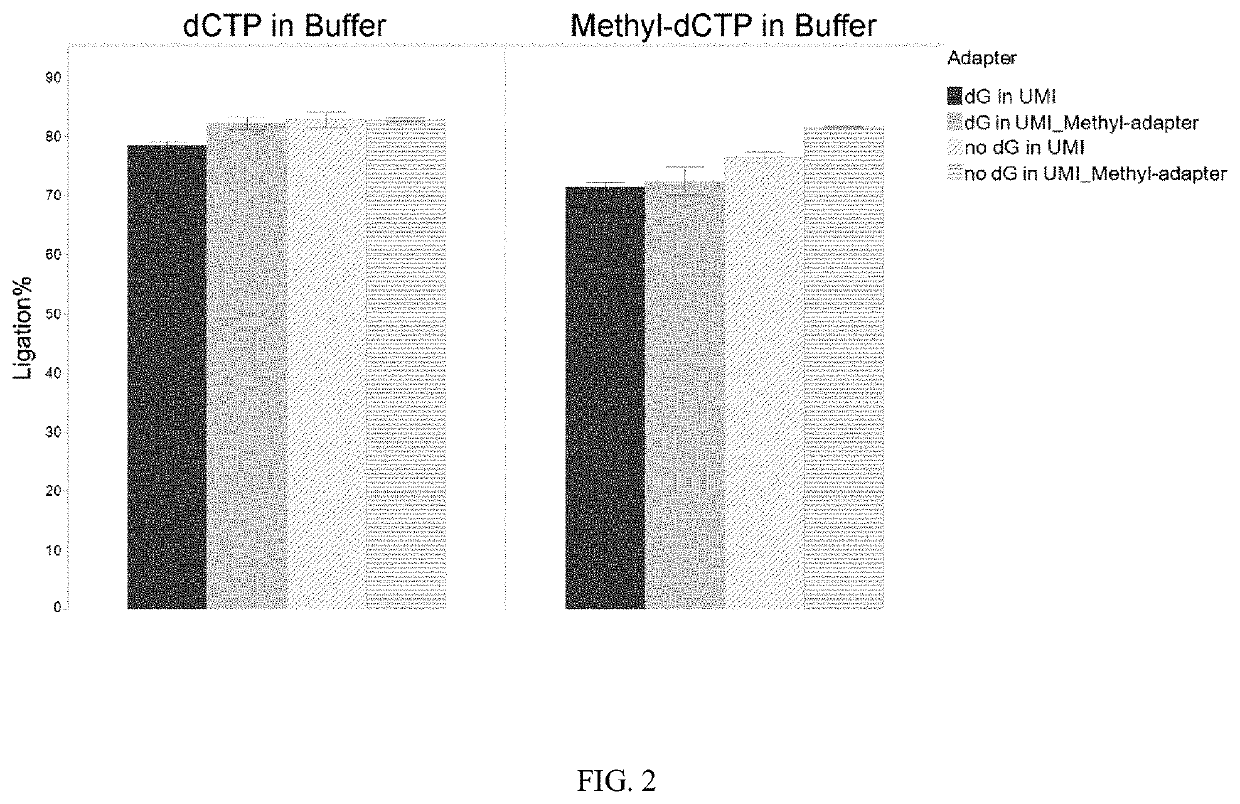 Methods of Preparing Dual Indexed Methyl-Seq Libraries