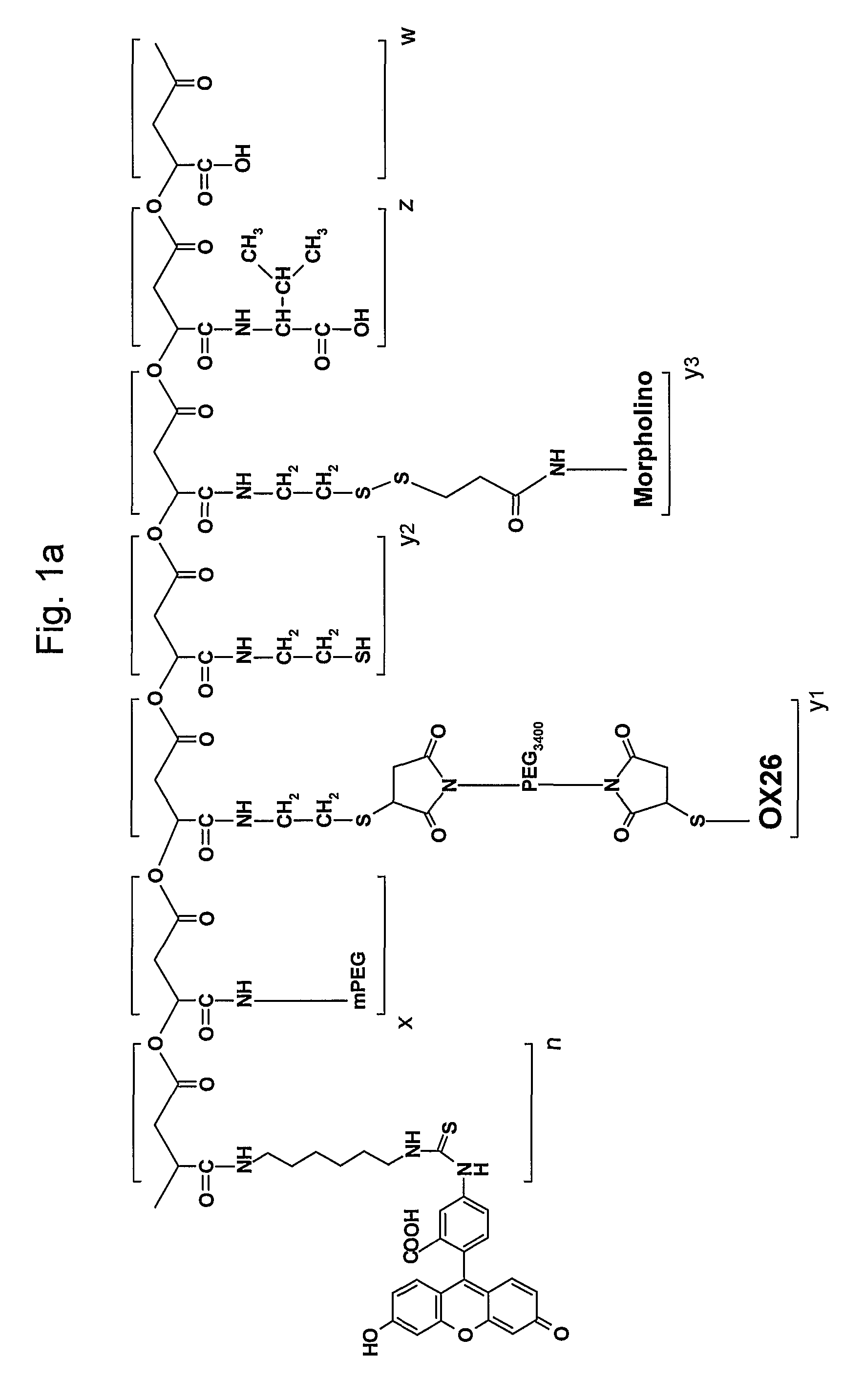 Polymalic acid-based multi-functional drug delivery system