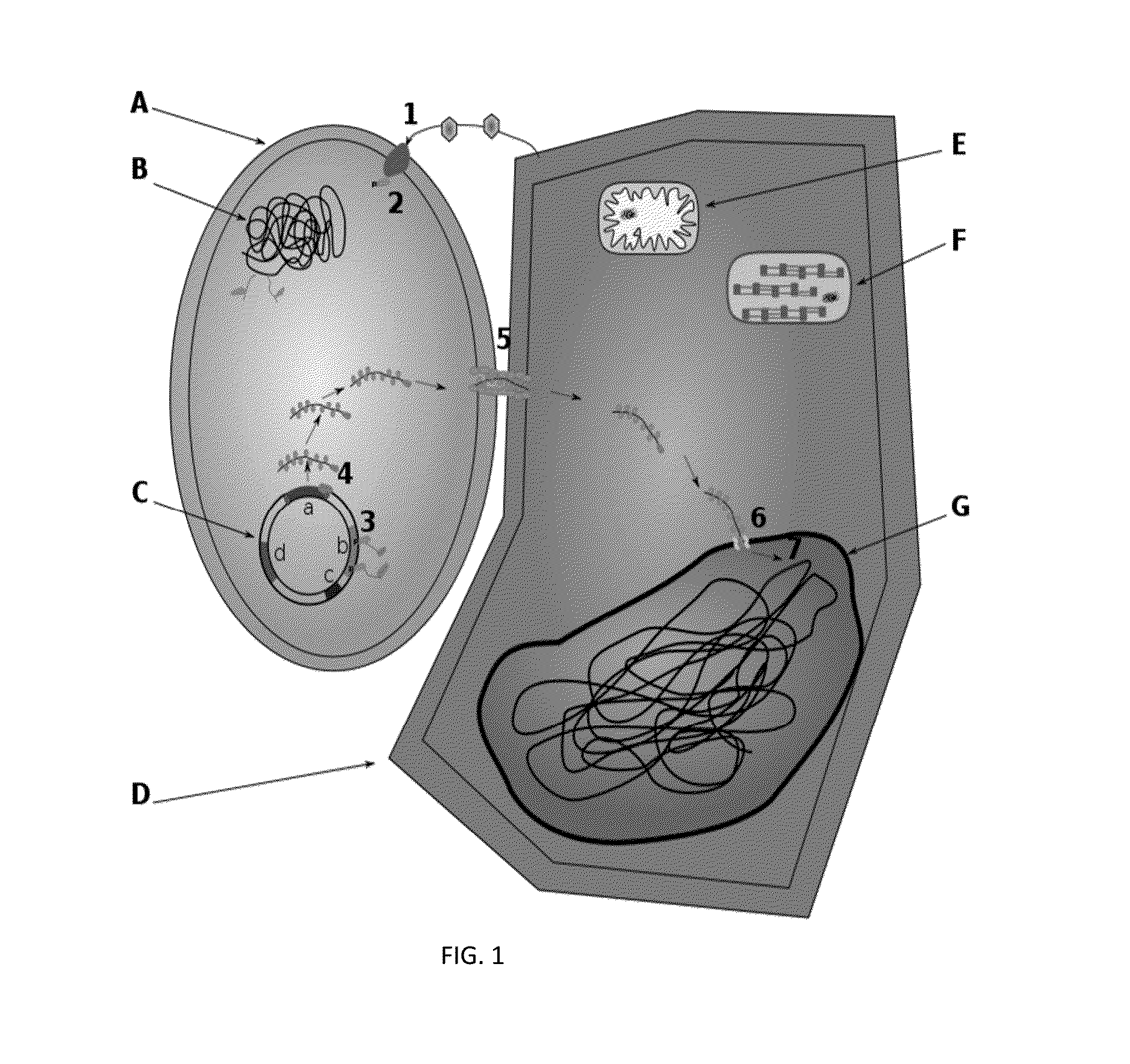 Method for enhanced production of morinda metabolites