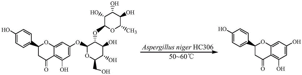 Aspergillus niger HC306 and application of aspergillus niger HC306 to prepare naringenin through naringin conversion
