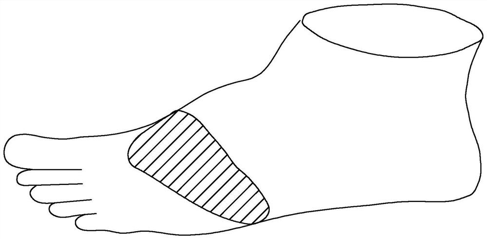 Algorithm for evaluating fat and thin degree of foot shape
