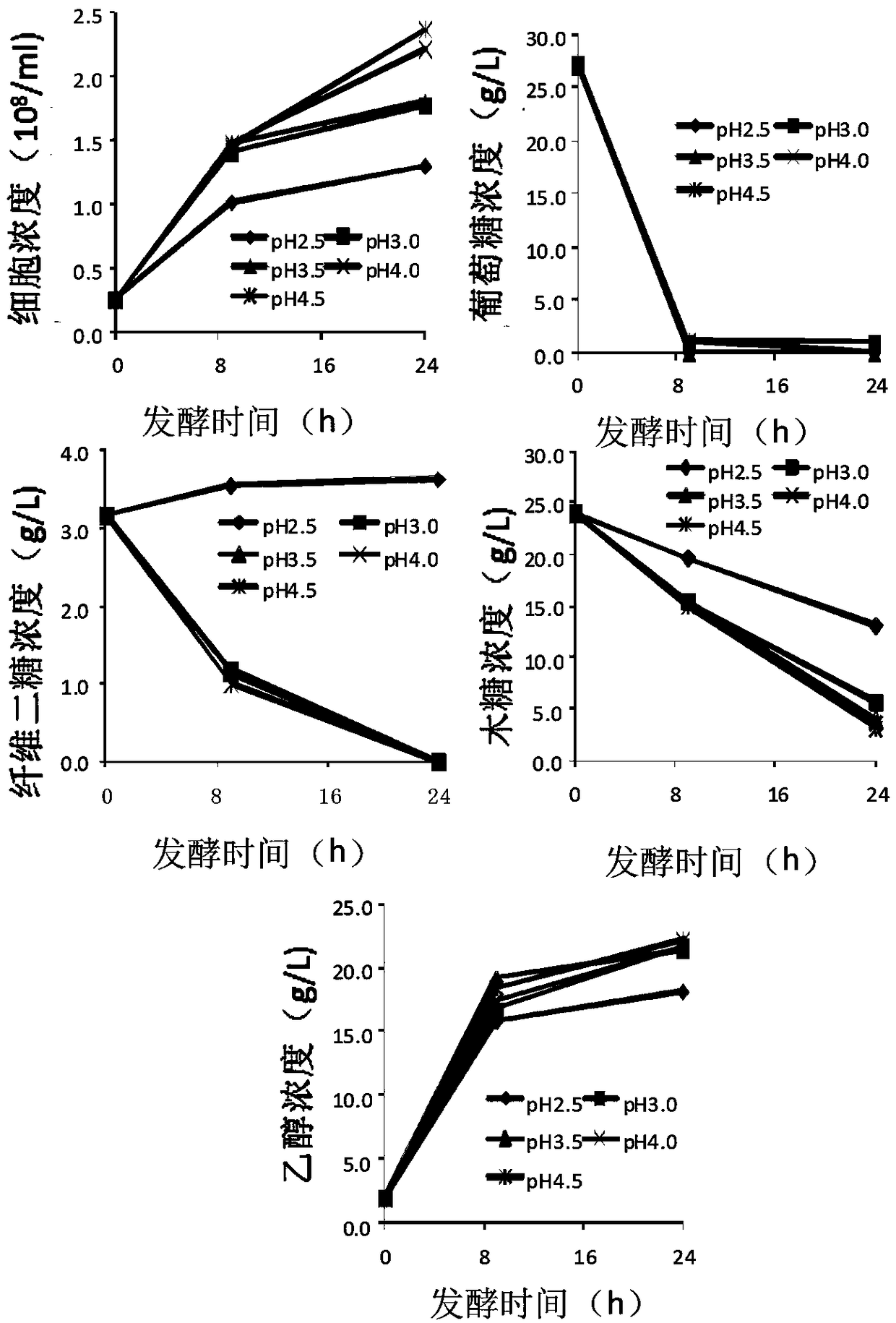 A Saccharomyces cerevisiae strain and its construction method for rapidly fermenting xylose to produce ethanol