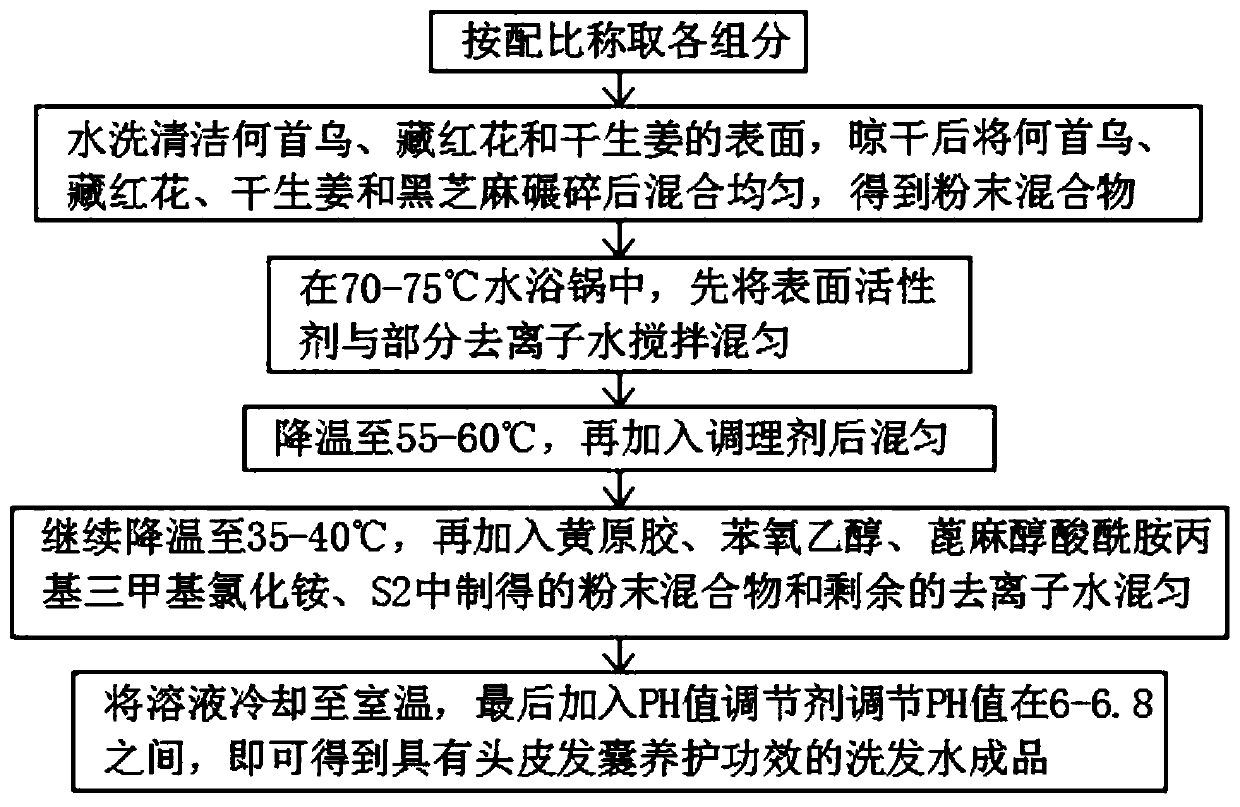 Shampoo with function of maintaining hair follicles of scalp and preparing method thereof