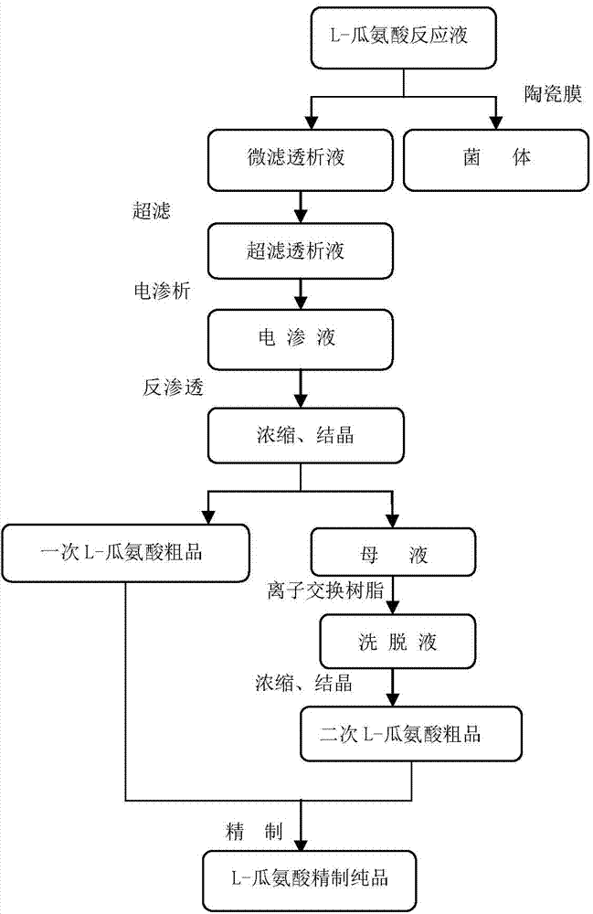 Recombinant Escherichia coli for expressing arginine deiminase gene and application of recombinant Escherichia coli