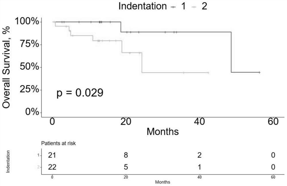 Gene composition for detecting specific intestinal flora proportion of esophageal cancer patient and application of gene composition