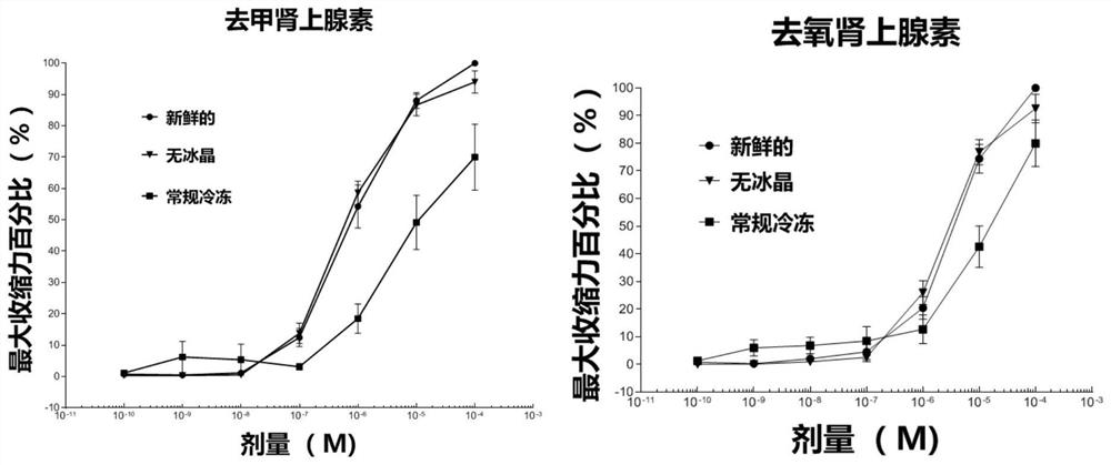 A blood vessel ice crystal-free cryopreservation solution and blood vessel preservation method