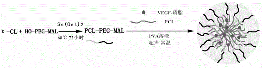Decellularized heart valve for controllably releasing vascular endothelial growth factor and method of preparation and application thereof
