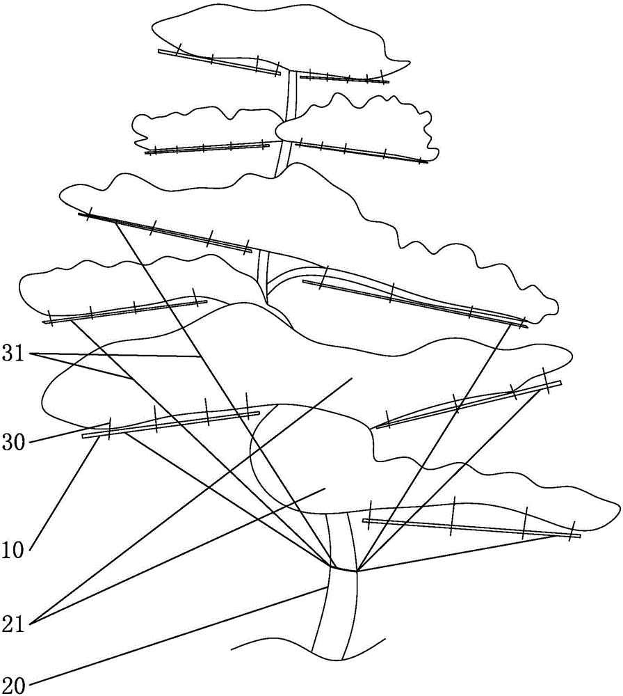 Shape positioning device and shape positioning method for potted plants/landscape trees