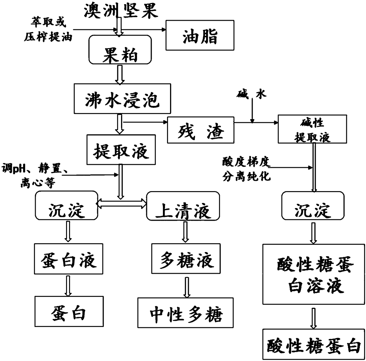 Acidic Macadamia nut glycoprotein and production method thereof