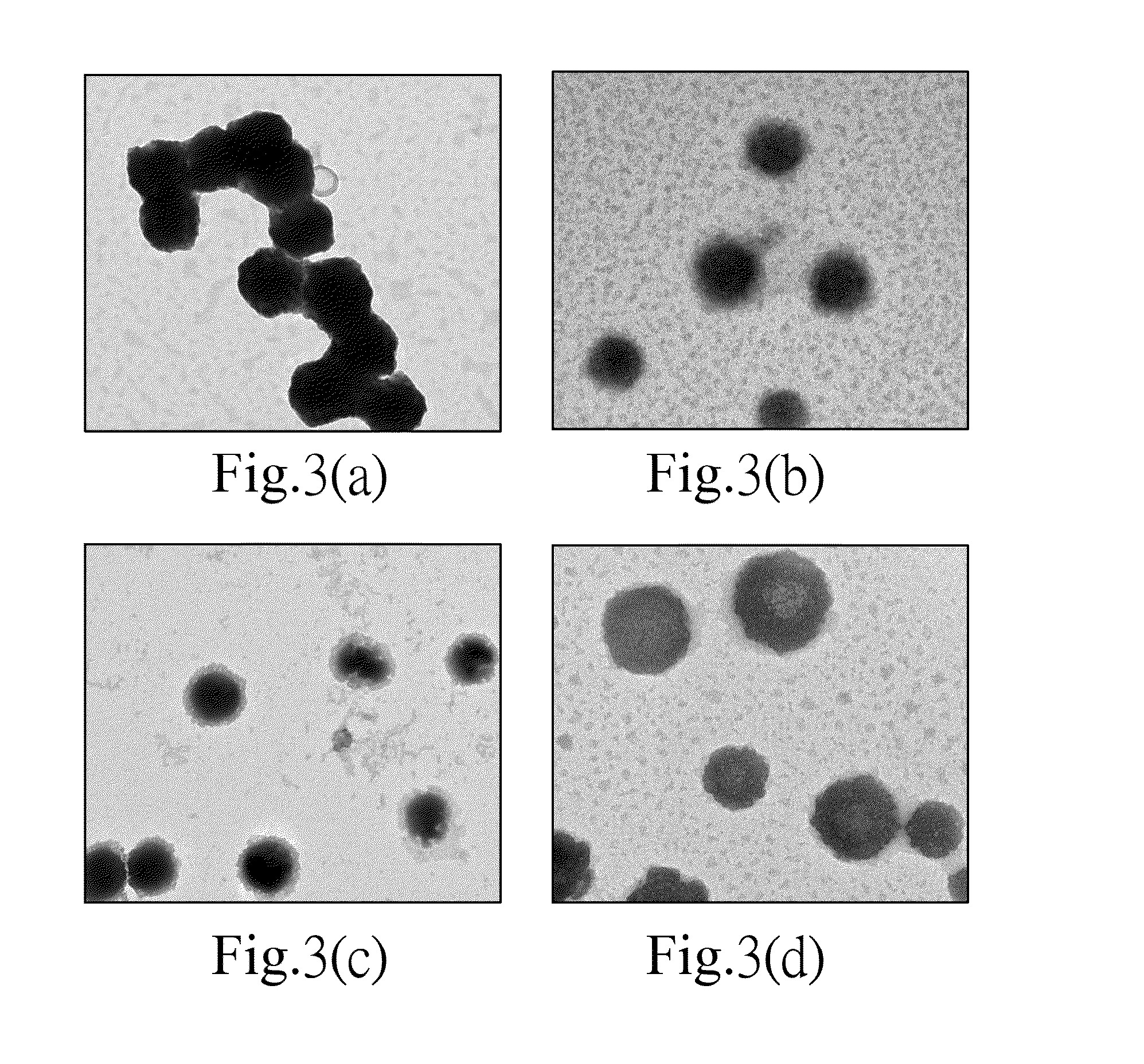 Dual-targeting drug carrier and method for fabricating the same