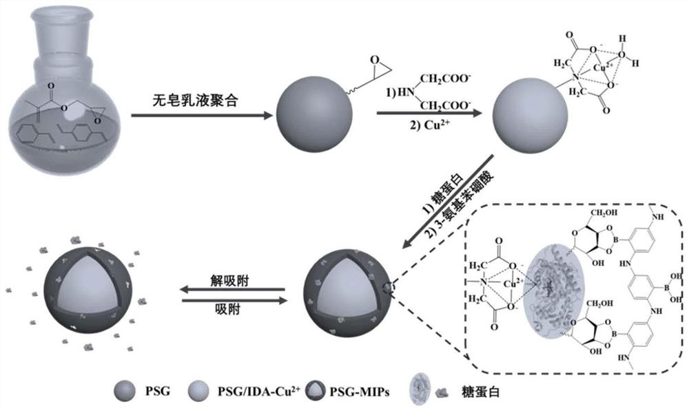 A kind of double recognition site glycoprotein surface imprinted nanomaterial and its preparation method and application