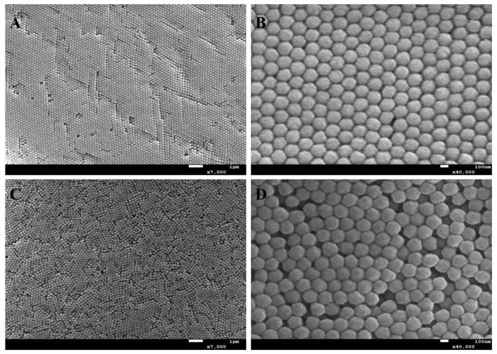 A kind of double recognition site glycoprotein surface imprinted nanomaterial and its preparation method and application
