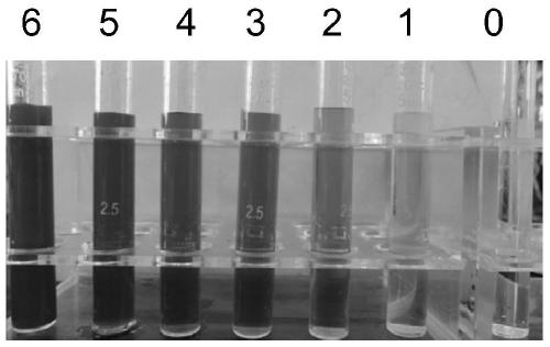 A kind of detection method of microorganism in water environment