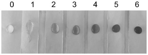 A kind of detection method of microorganism in water environment