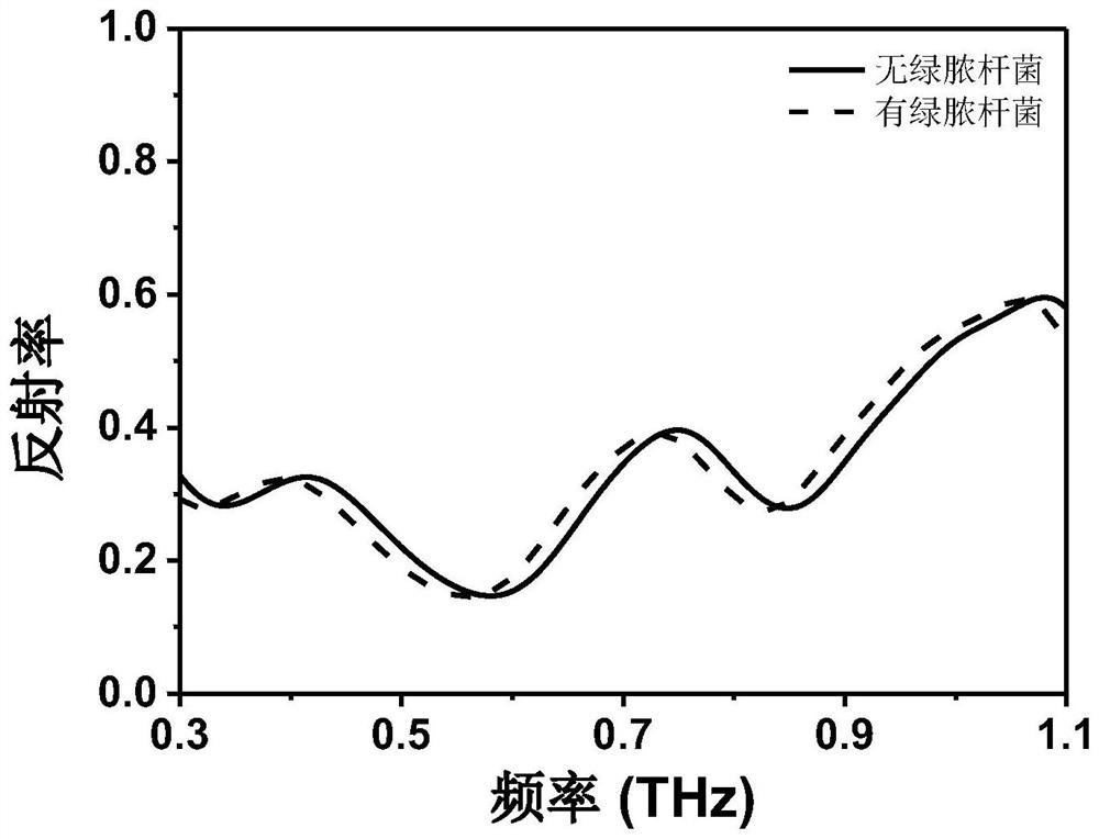 Packaging materials, preparation and testing methods for non-destructive testing of agricultural products and food quality