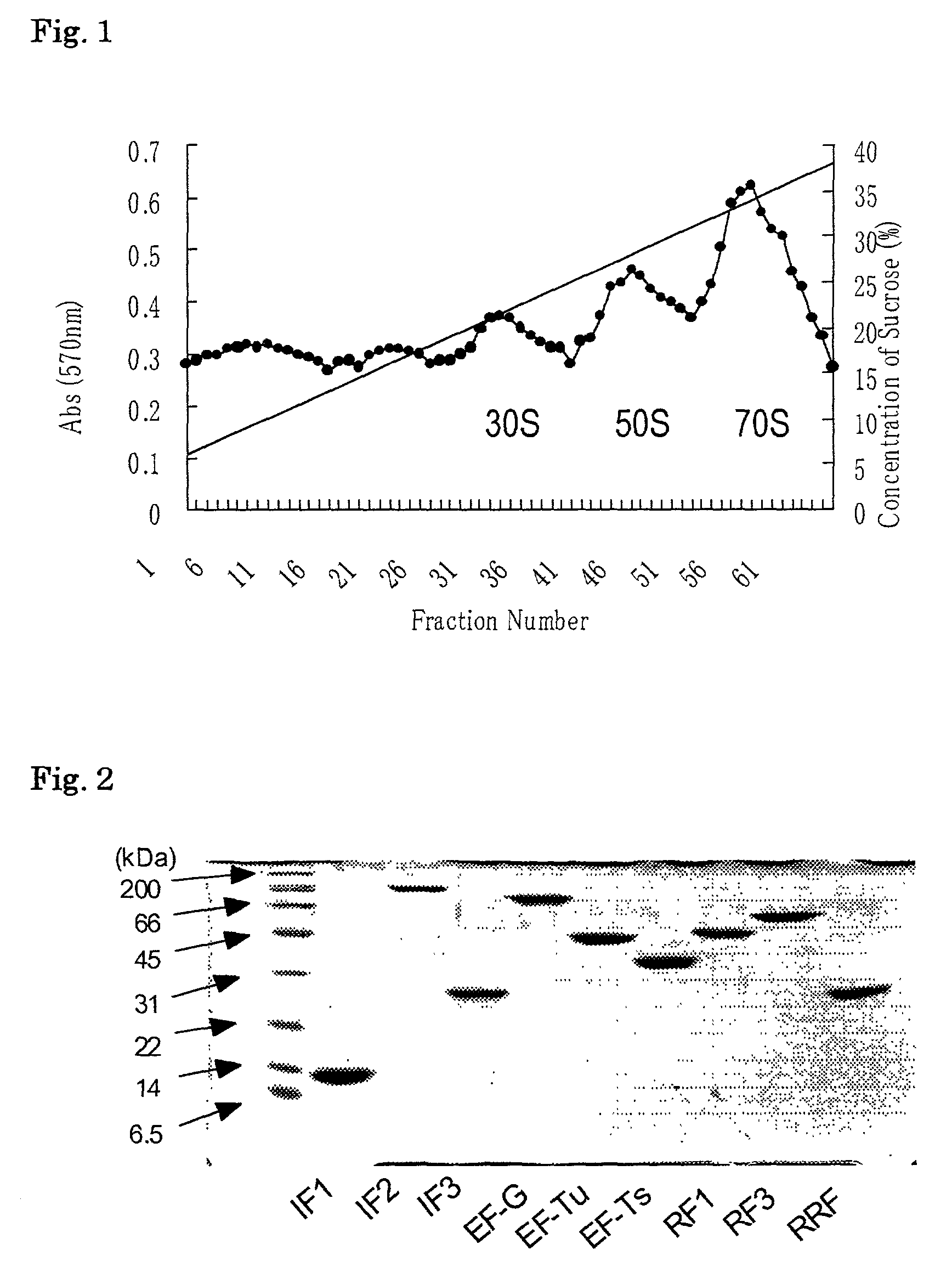 Process for producing peptides by using in vitro transcription/translation system