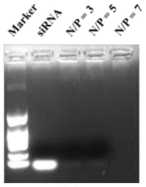 Lipid nanoparticles and use thereof in nucleic acid delivery