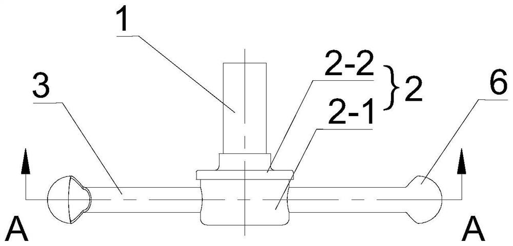 Rotary oiling device and compressor