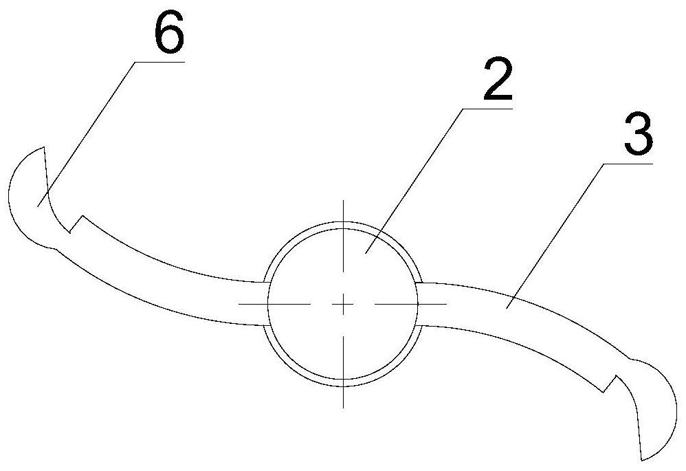 Rotary oiling device and compressor