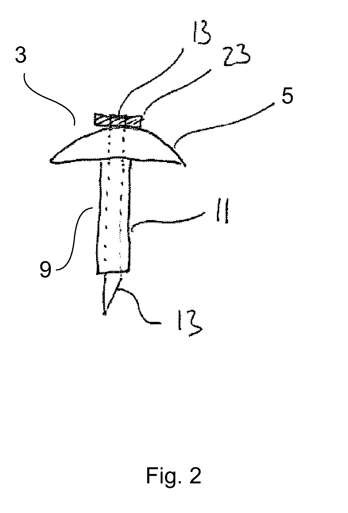 Insertion device with pivoting action