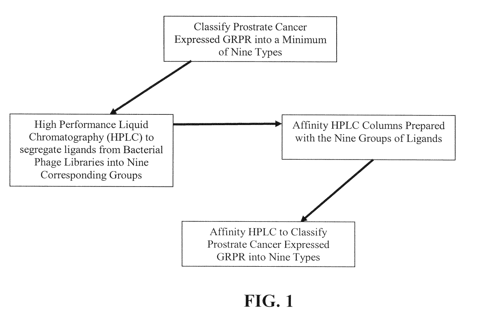 Method, compositions and classification for tumor diagnostics and treatment