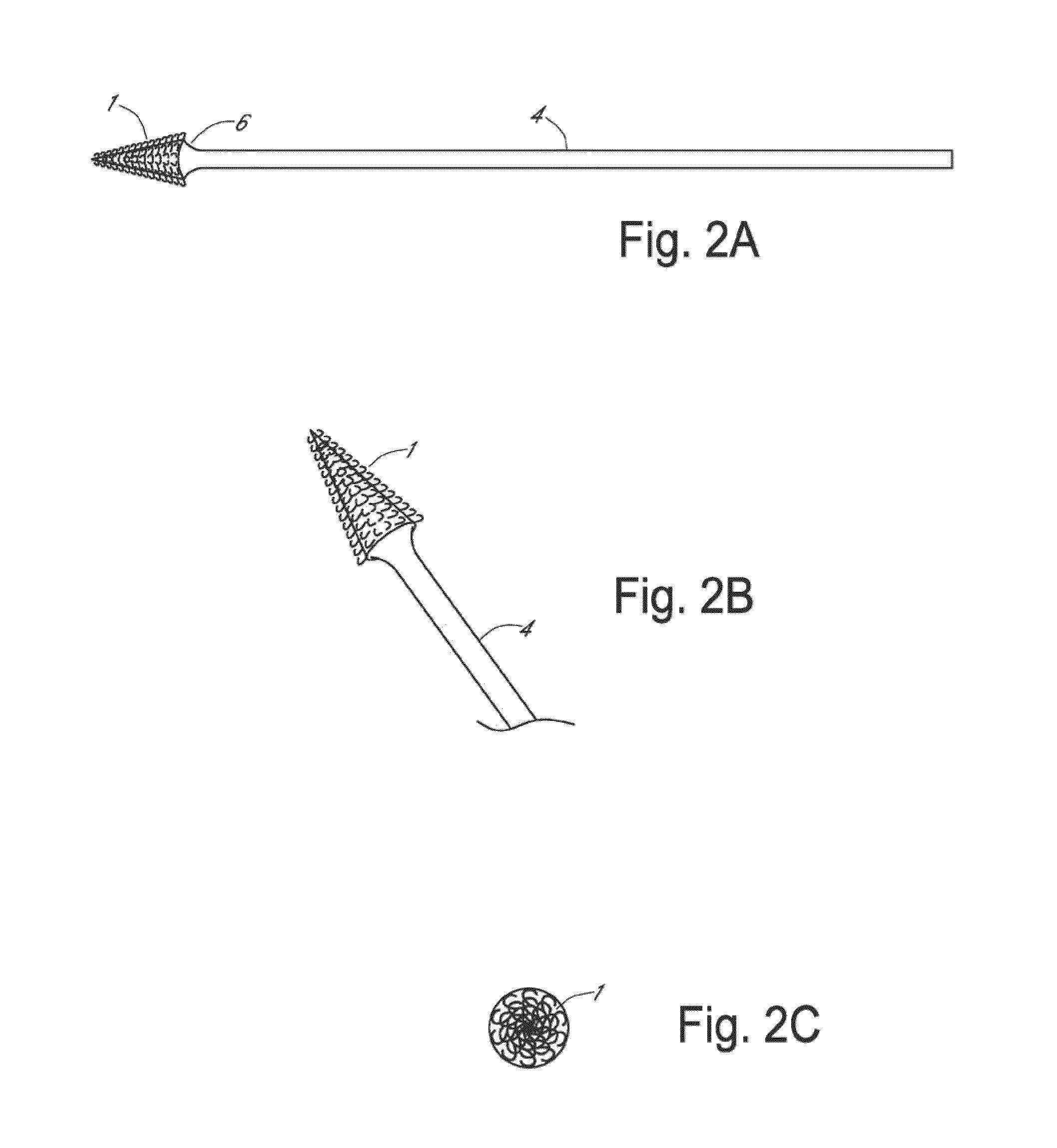 Frictional trans-epithelial tissue disruption collection apparatus and method of inducing an immune response