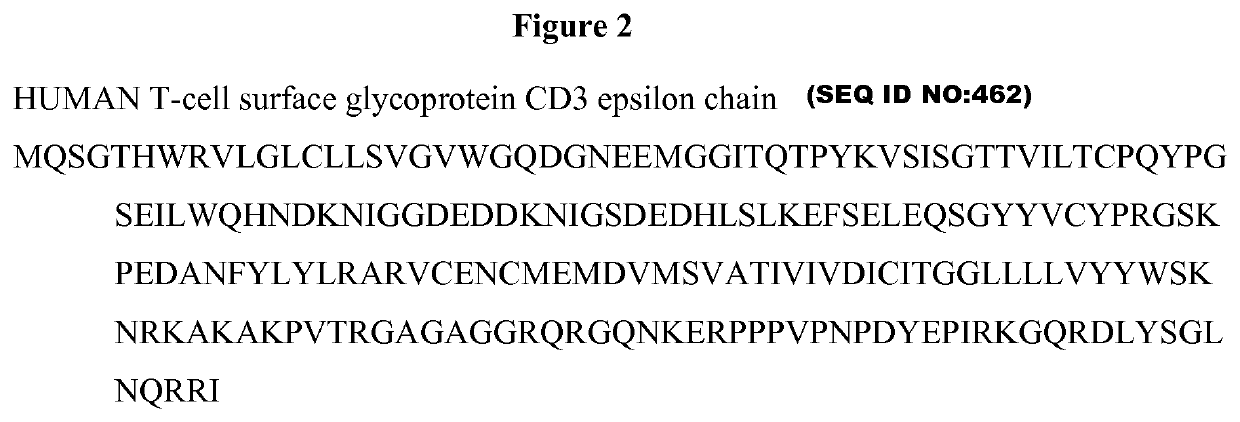 Bispecific antibodies that bind to CD38 and CD3