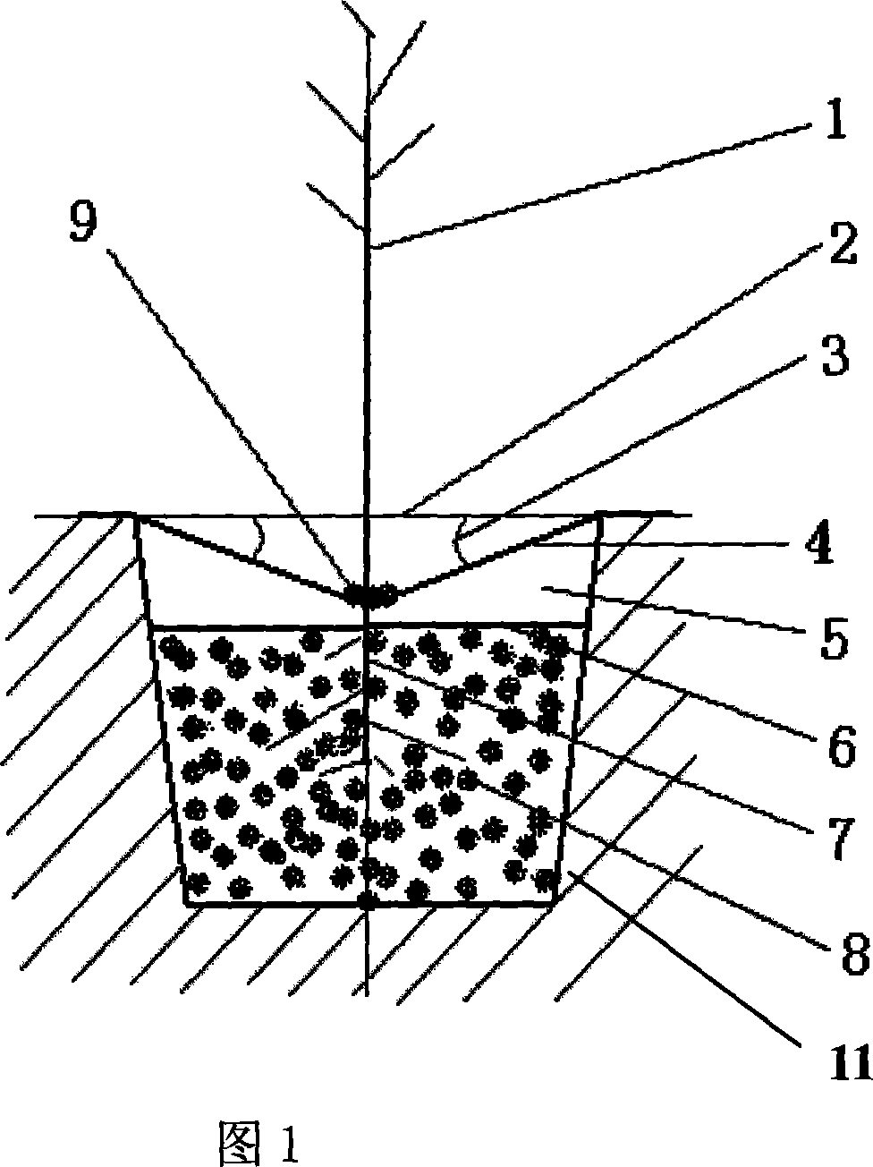 Film bilateral catchment and preventing evaporation plant planting and maintenance method