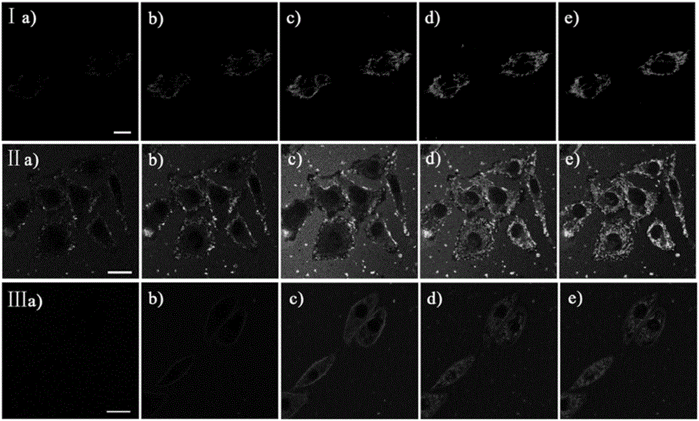 Disposable and rapid octadecyl-chain-containing targeting mitochondrion fluorescent probe and application thereof